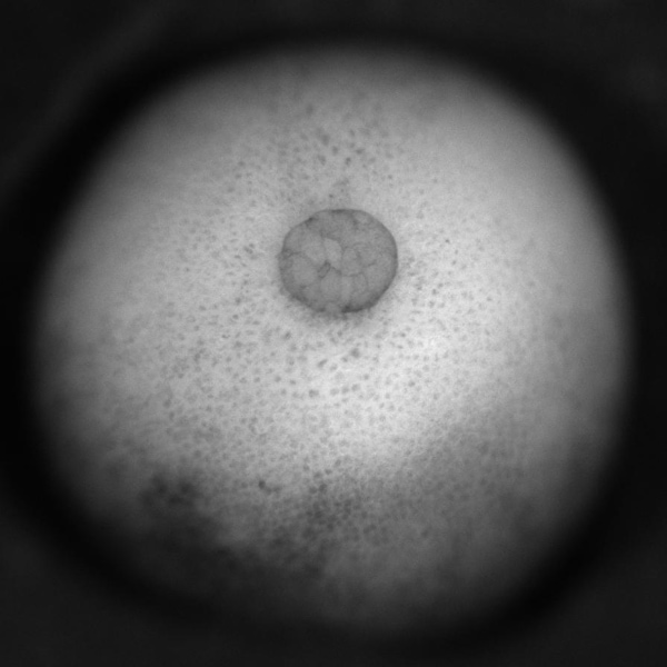 2026 C5-4 Thumbnail