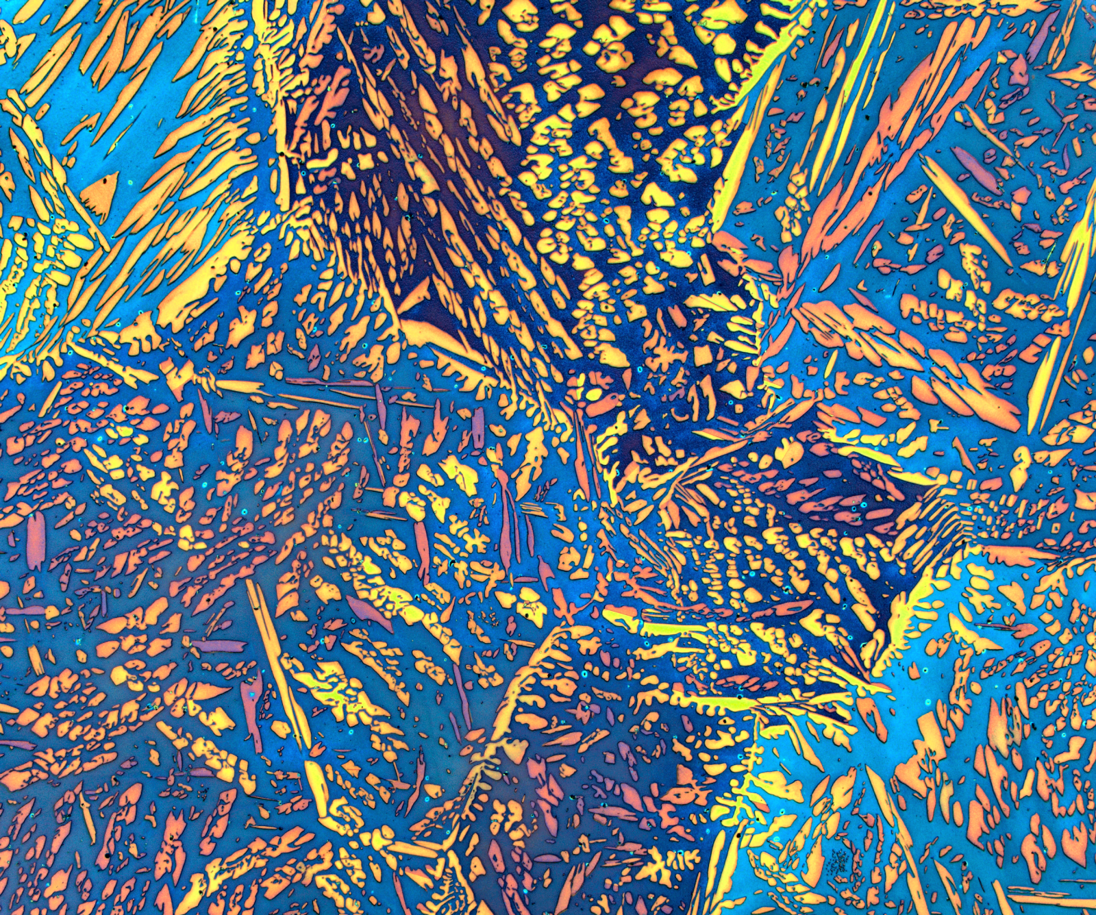 MT Micrograph 2026 Awards Finalist | Oxide Interference in Duplex Steel (Light Microscopy) by Ondrej Ambrož