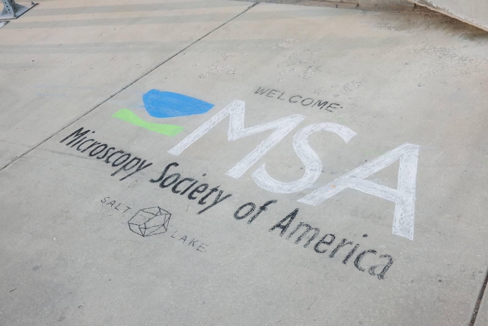 Click on each candidate's photo to view their platform statement.