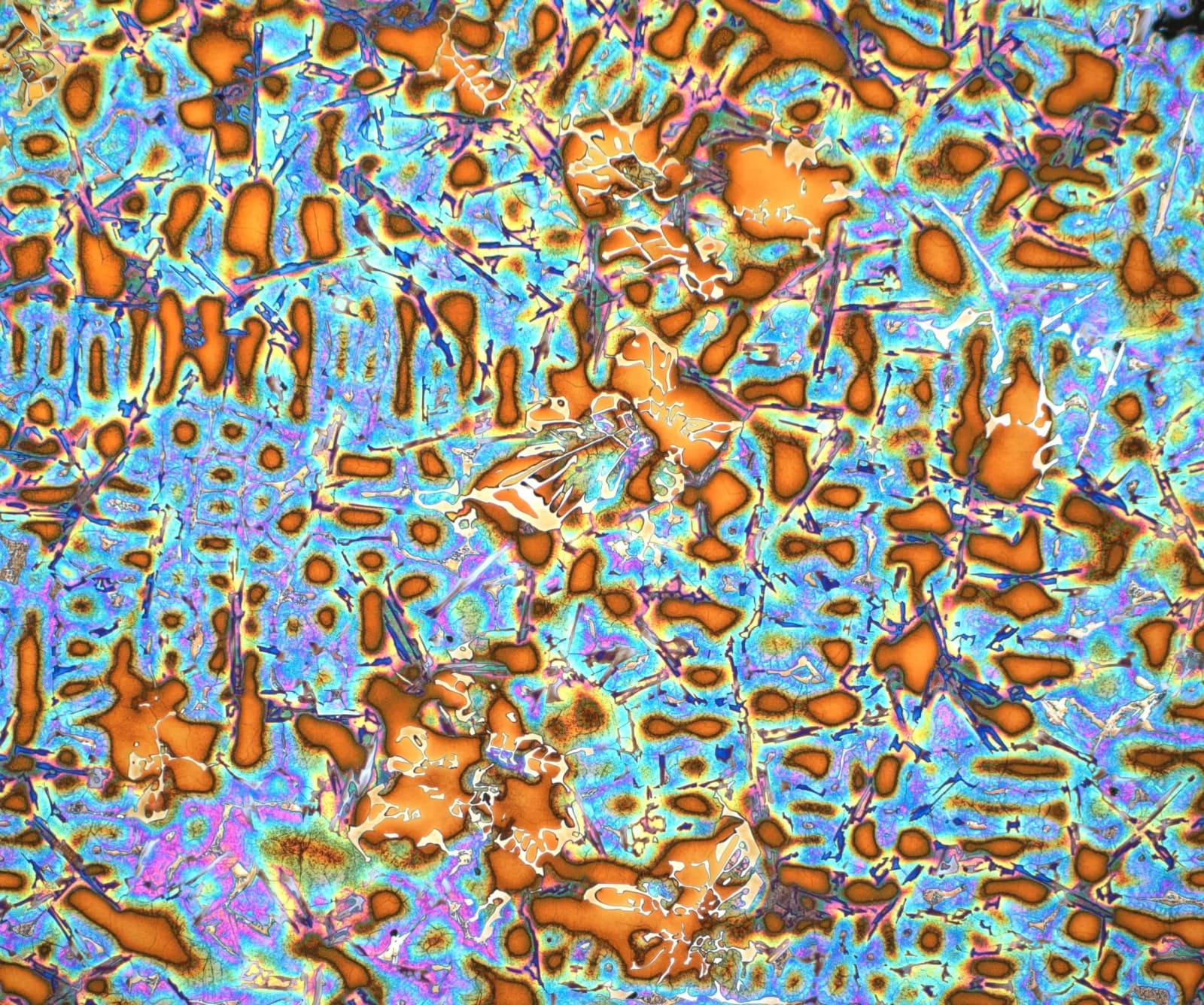 MT Micrograph 2023 Award Finalist | AlSi9Cu3(Fe) aluminum alloy showing Al, eutectic, and intermetallic phases. Submitted by: Ondrej Ambrož, Institute of Scientific Instruments of the Czech Academy of Sciences, Borno, Czech Republic