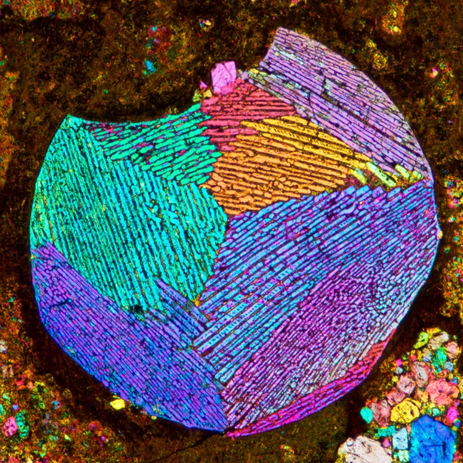 MT Micrograph 2020 Award Finalist | Barred olivine in a chondrule of chondrite meteorite NWA 2180, found in Morocco in 2002. | Bernardo Cesare, Geosciences, University of Padua, Italy