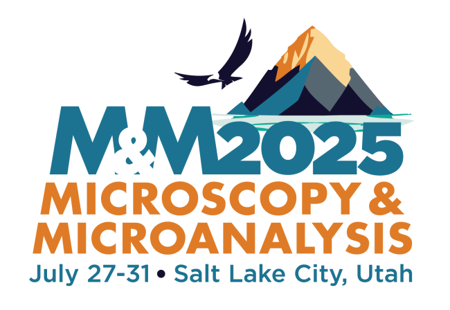 M&M 2025 Logo