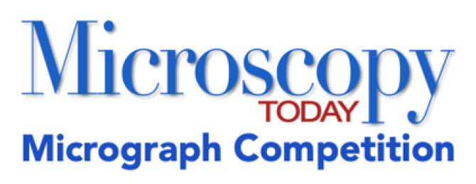 MTMicrographCompetitionLogo.png
