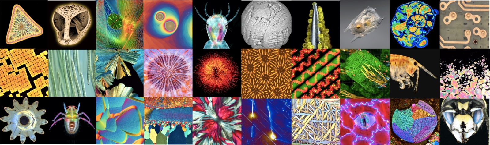 Composite background image: a selection of finalist images from five Microscopy Today Micrograph Awards competitions. Image credits and subject identifications may be found in the July issues for 2019-2023.