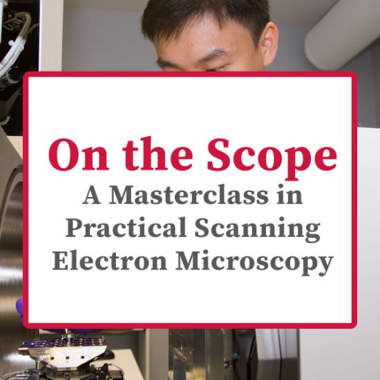 On The Scope - A Masterclass in Practical Scanning Electron Microscopy