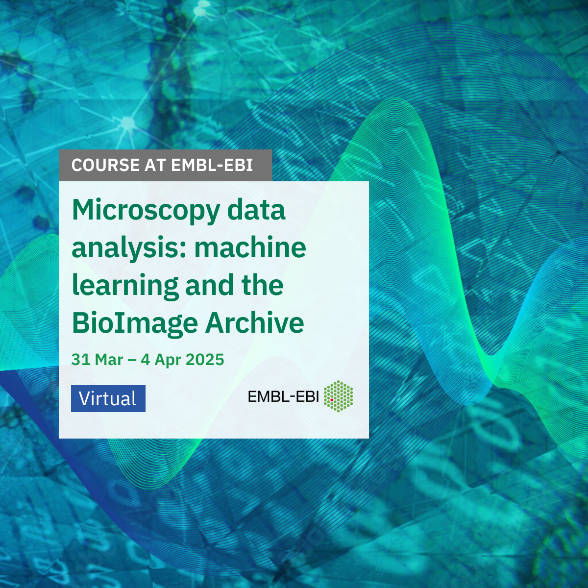 Microscopy Data Analysis - Machine Learning and the BioImage Archive