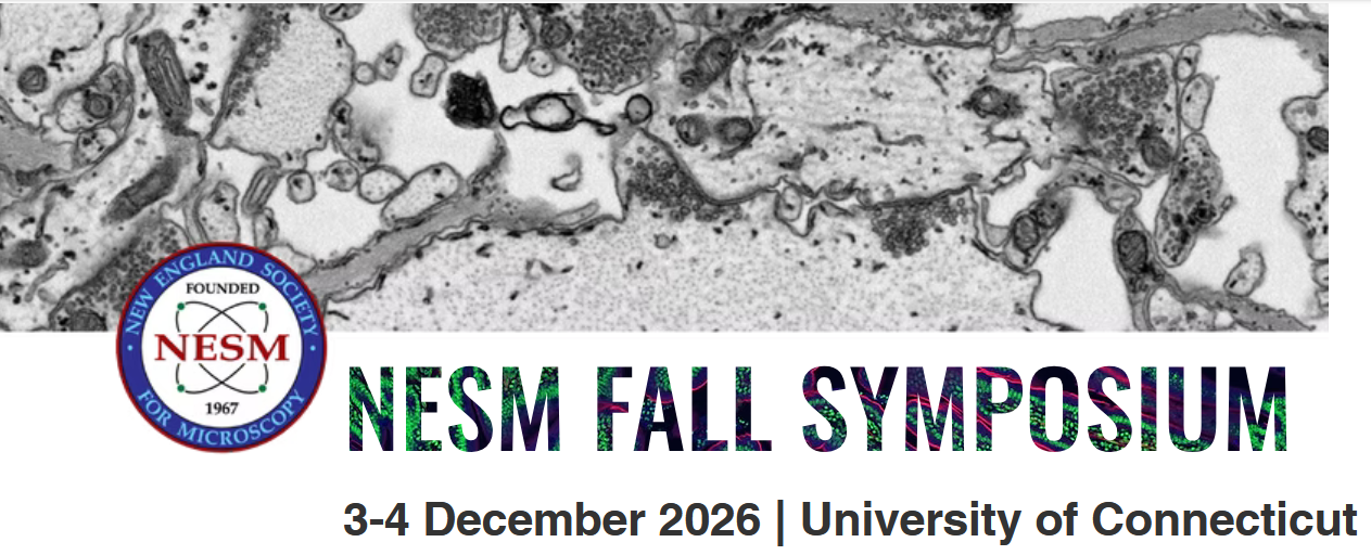 NESM Fall Meeting