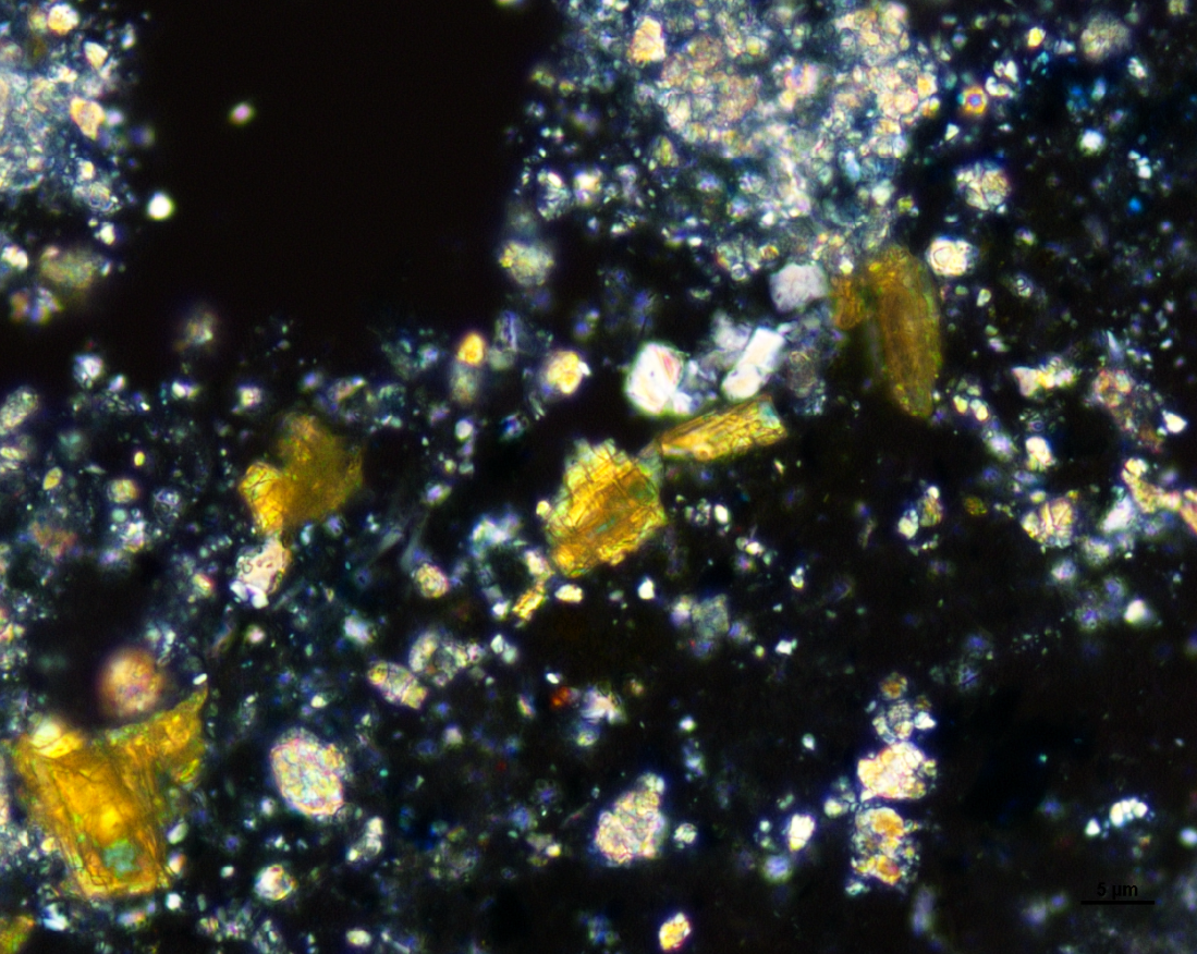 Polarized Light Microscopy Refresher Workshop for Heritage Professionals