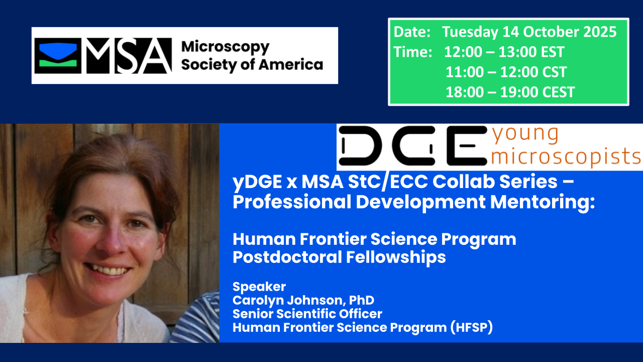 yDGE x MSA StC-ECC Collab Series - Professional Development Mentoring