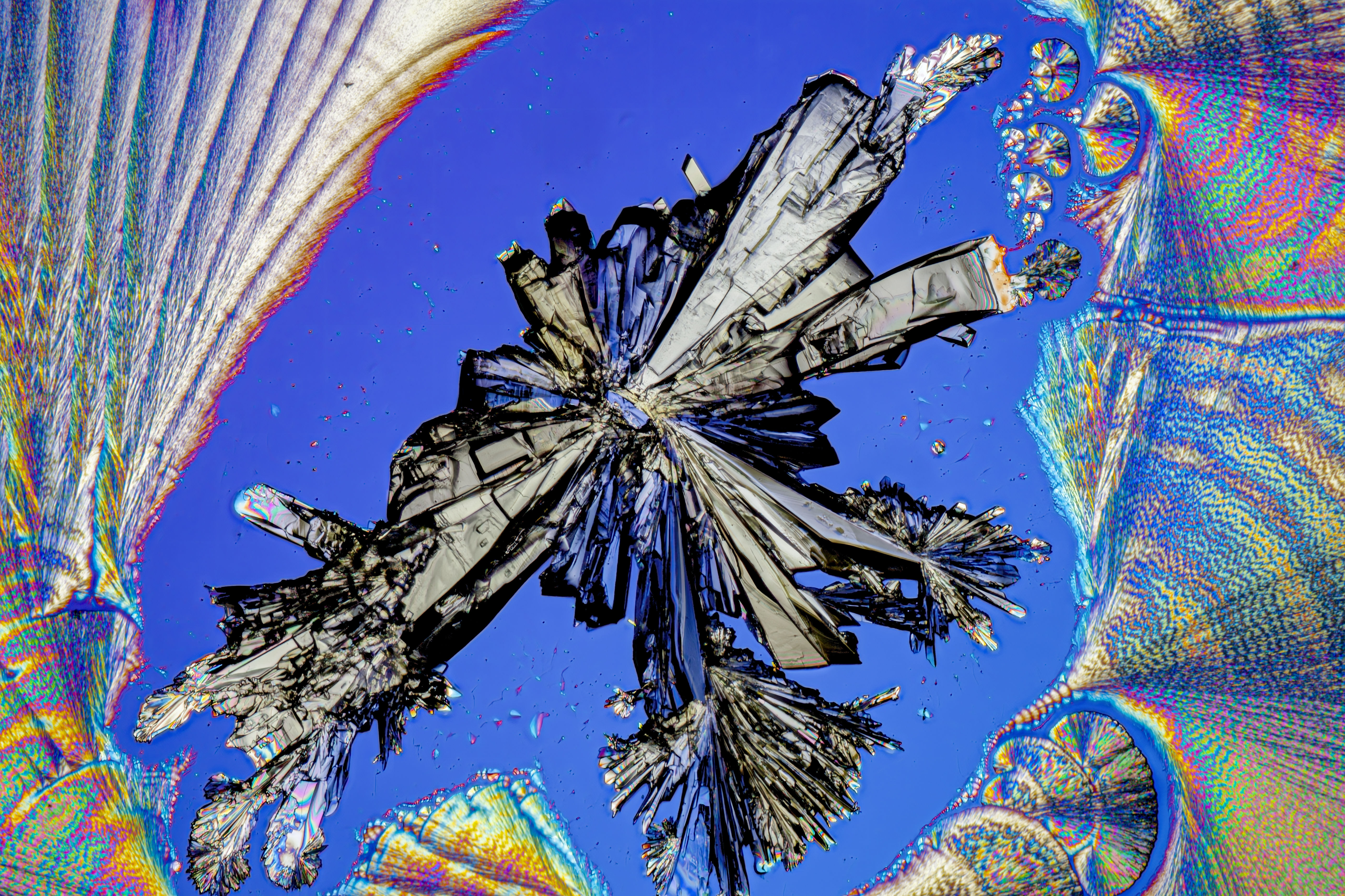 Fractal Form
