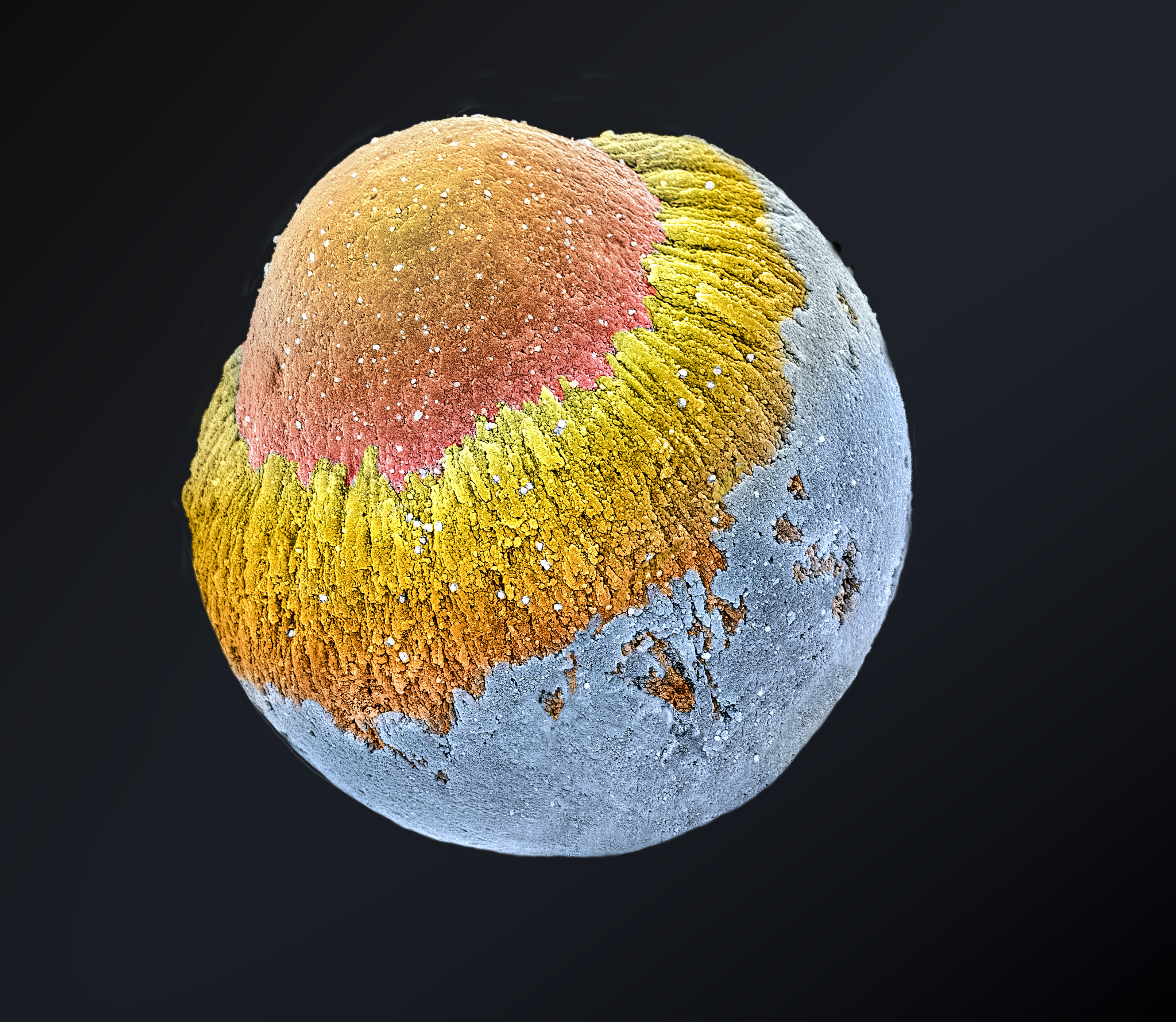 Micrometeorite