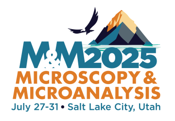 Microscopy & Microanalysis 2024 Logo