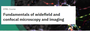 EMBL Course - Fundamentals of Widefield and Confocal Microscopy and Imaging