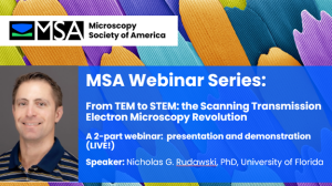 MSA Webinar - From TEM to STEM the Scanning Transmission Electron Microscopy Revolution - Day 1