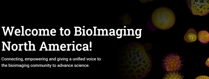 12KxBINA2026 - Cultivating the Multiscale Imaging Frontier